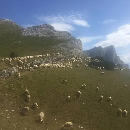 La Haut, Dans Les Montagnes ... Correncon-en-Vercors